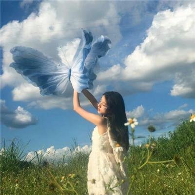 樱花回声 海报